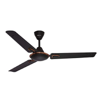 Bajaj Edge fan