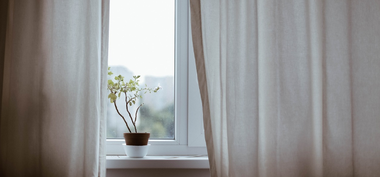 window curtains with in flowercup