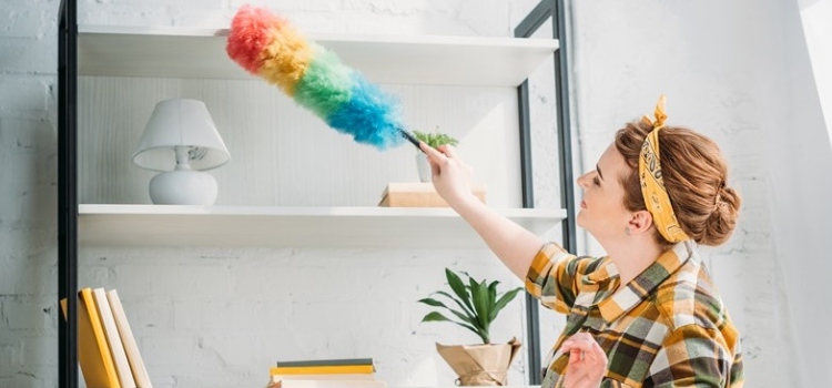 woman dusting her house